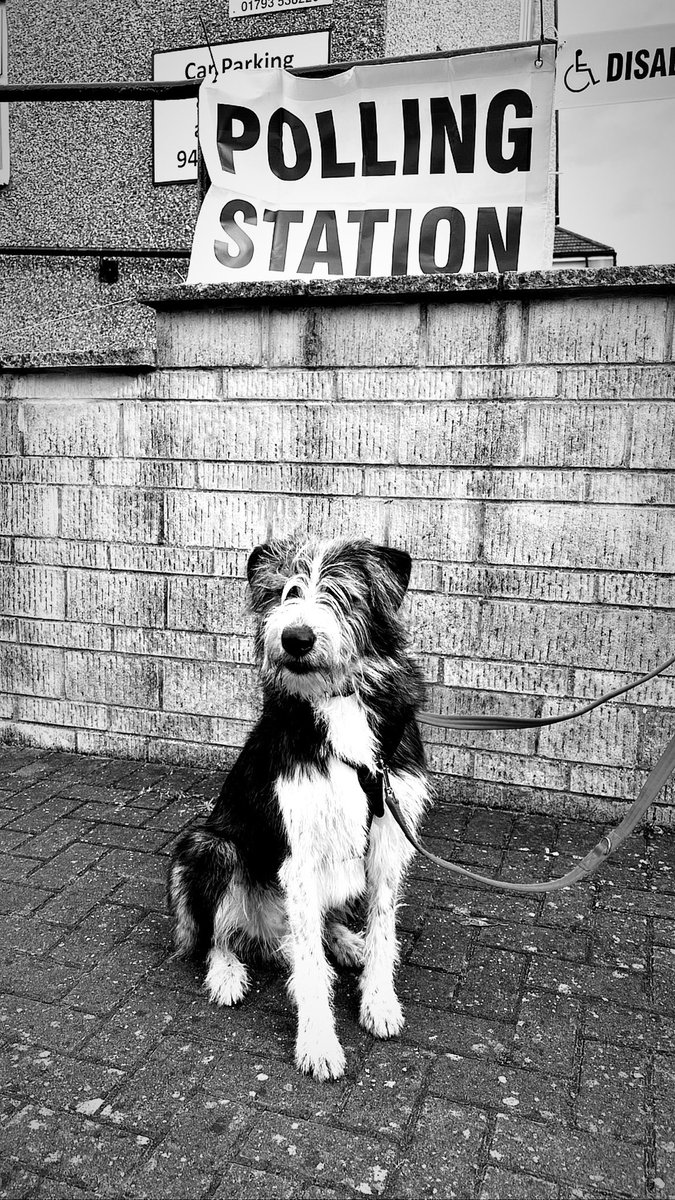 shipmannnX's tweet photo. #dogsatpollingstations https://t.co/D3FNDV2SrK