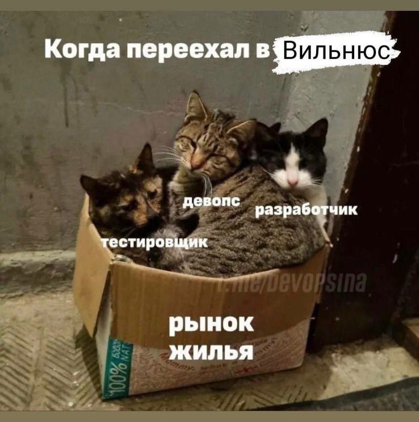 MARY_CHERRY_PIE's tweet image. Творчество by чат релокантов