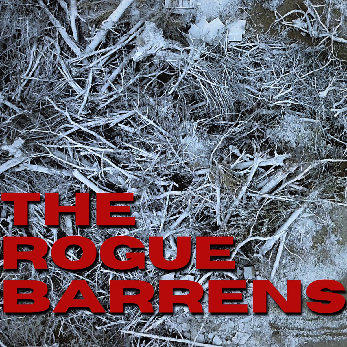 MtnViewPictures's tweet photo. The Rogue Barrens Official Motion Picture Soundtrack is now streaming on Spotify and Apple Music! Special thanks to Jacquie Joy, our composer, for her fantastic work in bringing the film to life. 

#TheRogueBarrensFilm #Film #IndieFilm #Soundtrack https://t.co/ot9ZxKF3JJ