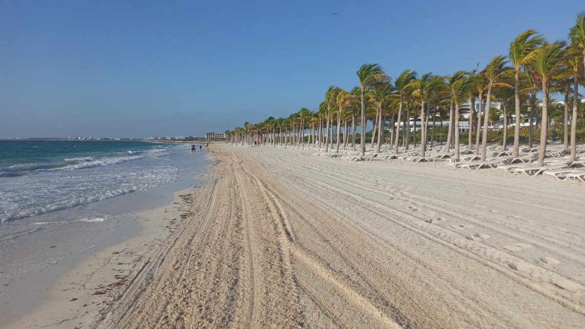 SedeturQROO's tweet photo. Ven a disfrutar de las playas del #CaribeMexicano #NiTodosLosDíasNiEnTodasLasPlayas
#RivieraMaya #Cozumel #CostaMujeres #Holbox
Playa Bahía Príncipe, Riviera Maya
Playa Hotel Playa Azul, Cozumel
Playa Hotel Riu Palace Costa Mujeres
Playa Hotel Las Nubes, Holbox https://t.co/YOUl316UhY