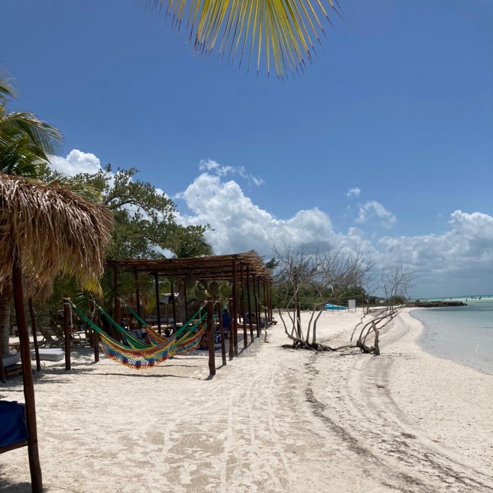 Ven a disfrutar de las playas del #CaribeMexicano #NiTodosLosDíasNiEnTodasLasPlayas
#RivieraMaya #Cozumel #CostaMujeres #Holbox
Playa Bahía Príncipe, Riviera Maya
Playa Hotel Playa Azul, Cozumel
Playa Hotel Riu Palace Costa Mujeres
Playa Hotel Las Nubes, Holbox
