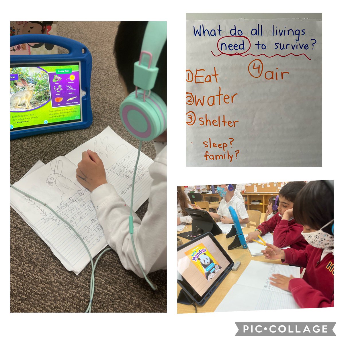 HTS_Mrschan's tweet photo. Ask us about what we think living things need to survive, researching our living thing of choice, and learning about their survival needs. #scientistsintraining #interdisciplinaryliteracyskills https://t.co/Ezk4Xz3vNj