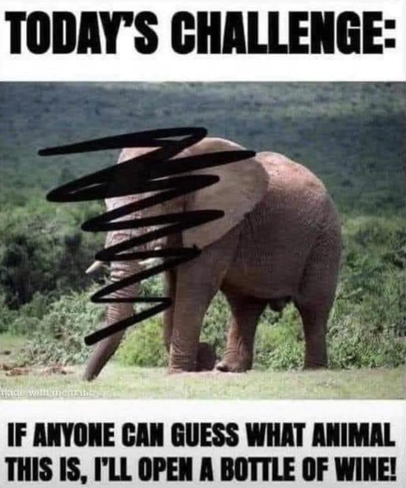SCSynapse's tweet photo. My kind of challenge!! @YYCbikewinefood @itsonlyles @cabdialectic @petervetsch @FredVFalcone https://t.co/sXwJBc2e0W
