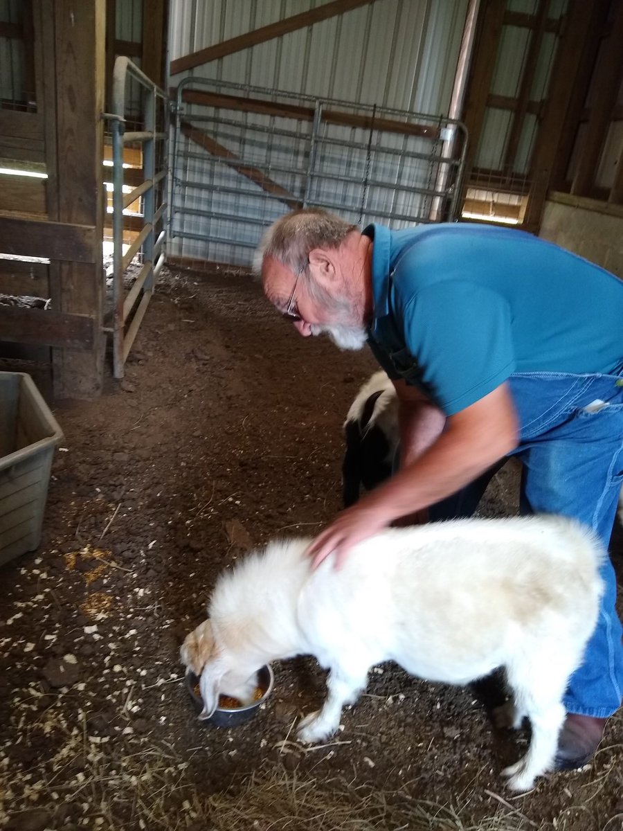 EricBenninghoff's tweet photo. Ultimately, Bill says the fertilizer cost and supply challenges not only impact the farmer, but also the consumer.

Lower crop yields can contribute to decreasing food supply, which can eventually affect what you’re able to find at the grocery store, and how much you pay for it. https://t.co/IWsWmaxsSE