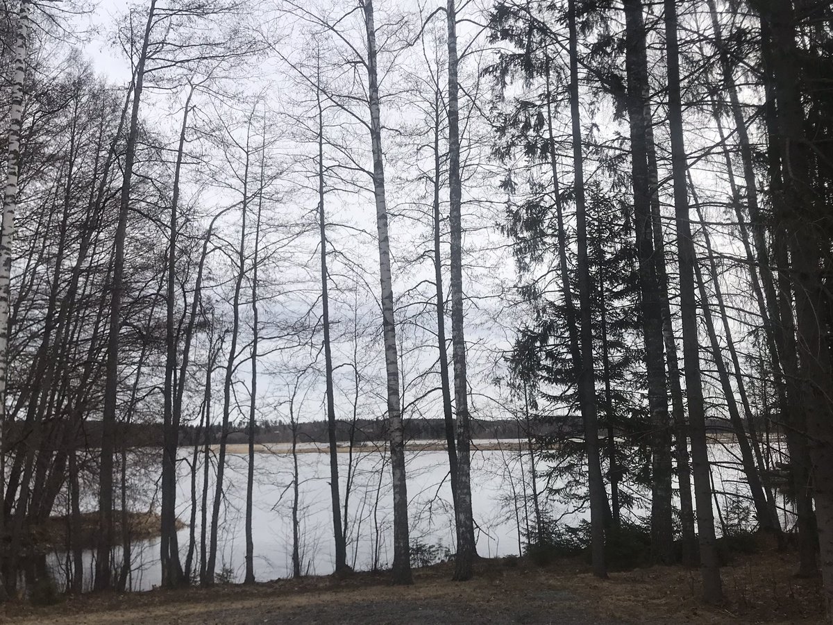 perdir89500's tweet photo. Dernier jour en Finlande, un peu de tourisme après des visites inspirantes @ErasmusBfc #collectifsapprennants https://t.co/JZWkgTLCEN
