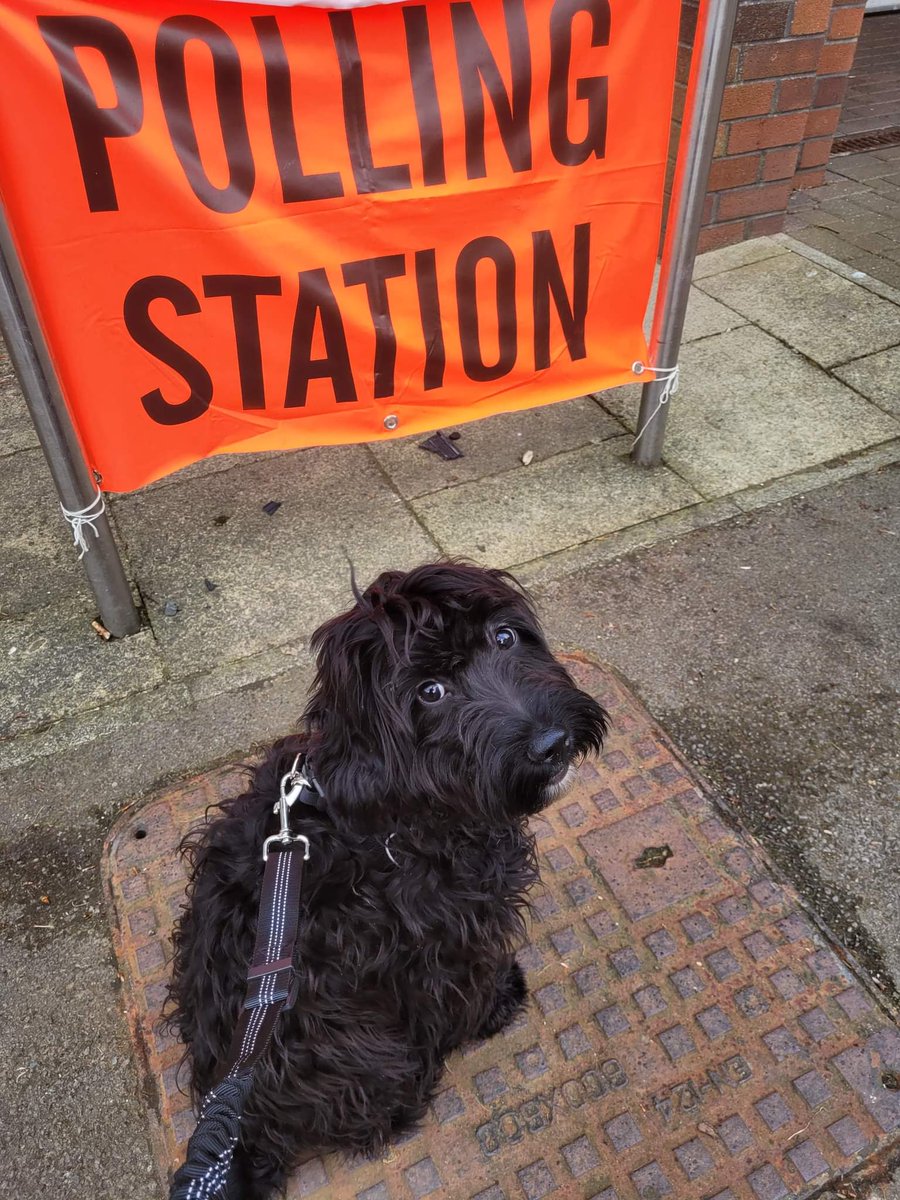 JenMcCambridge's tweet photo. Votes for free treatos and cheese! 
#dogsatpollingstations https://t.co/dqQYhUJZab