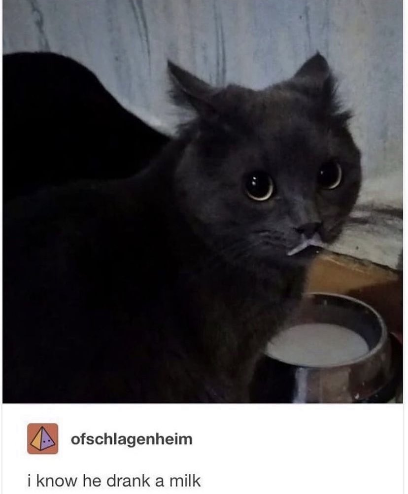 i know he drank a milk