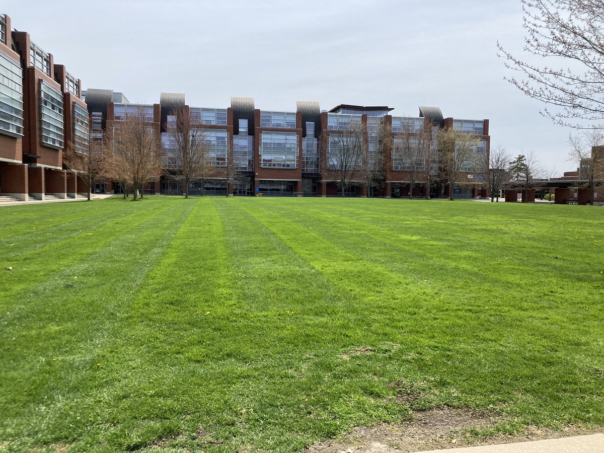 mattmack's tweet photo. What a beautiful day to be on such a gorgeous Campus at @ontariotech_u ! Freshly cut grass, shining Sun and even the Geese seem almost friendly today (but I still don’t trust them!). Feeling optimistic and excited about what lies ahead! #GAMEON #GoRidgebacksGo https://t.co/6C5Ac8dPN7
