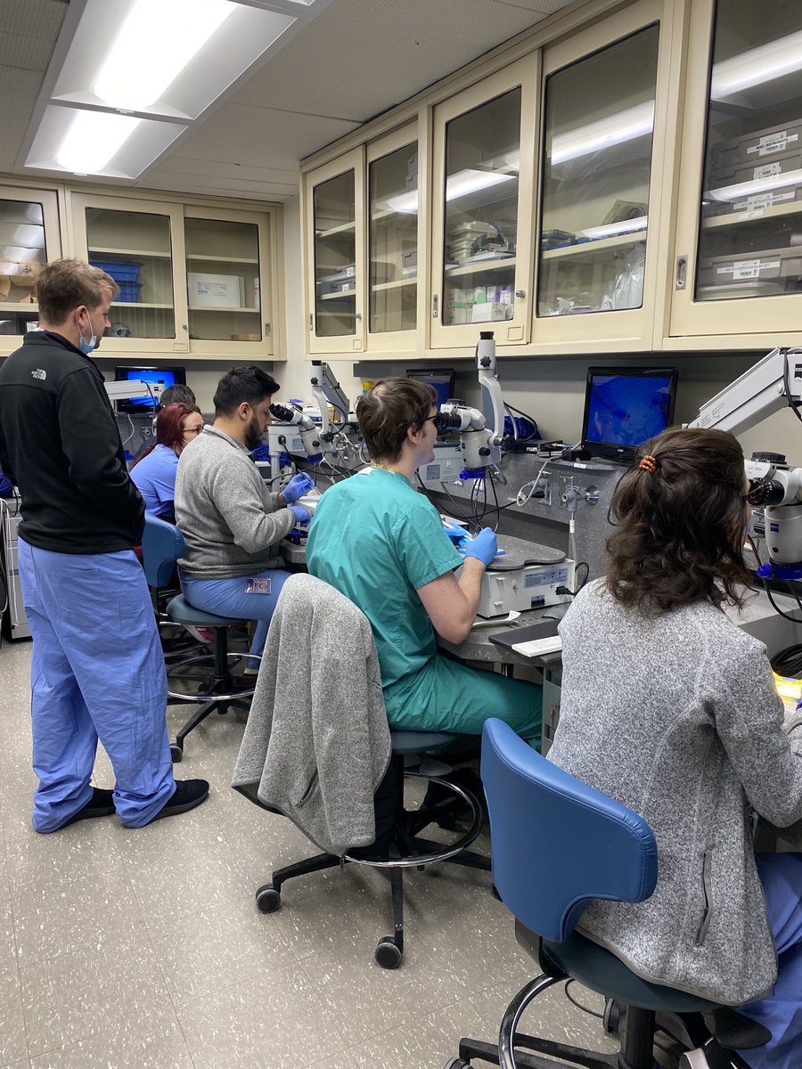 ENossek's tweet photo. Many thanks to Takayama instruments @AmericaMutoh and ⁦@ZEISS_Group⁩ supporting our micro-anastomoses lab for NYU neurosurgery residents!
⁦@calebcuts⁩ ⁦@eytanraz⁩ ⁦@neuroangio1⁩ ⁦⁦@nyulangone⁩ ⁦@nyugrossman⁩ ⁦@NYUneurosurgery⁩⁦ https://t.co/qmPTmY3I4I