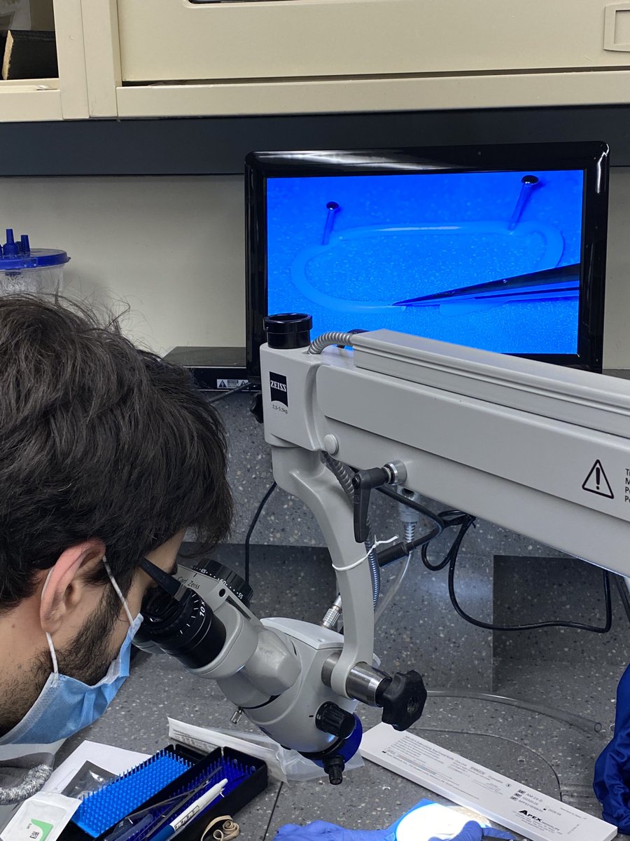 Many thanks to Takayama instruments <a href="/AmericaMutoh/">TAKAYAMA_Instrument</a> and ⁦<a href="/ZEISS_Group/">ZEISS Group</a>⁩ supporting our micro-anastomoses lab for NYU neurosurgery residents!
⁦<a href="/calebcuts/">Caleb Rutledge</a>⁩ ⁦<a href="/eytanraz/">Eytan Raz</a>⁩ ⁦<a href="/neuroangio1/">Neuroangio</a>⁩ ⁦⁦<a href="/nyulangone/">NYU Langone Health</a>⁩ ⁦<a href="/nyugrossman/">NYU Grossman School of Medicine</a>⁩ ⁦<a href="/NYUneurosurgery/">NYUneurosurgery</a>⁩⁦