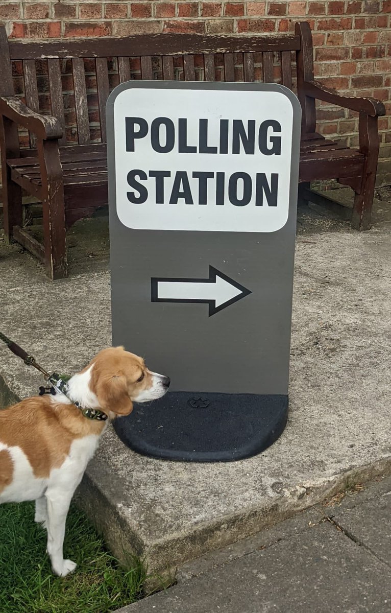 iam_andy's tweet photo. #dogsatpollingstations https://t.co/O4nWaPqiVg