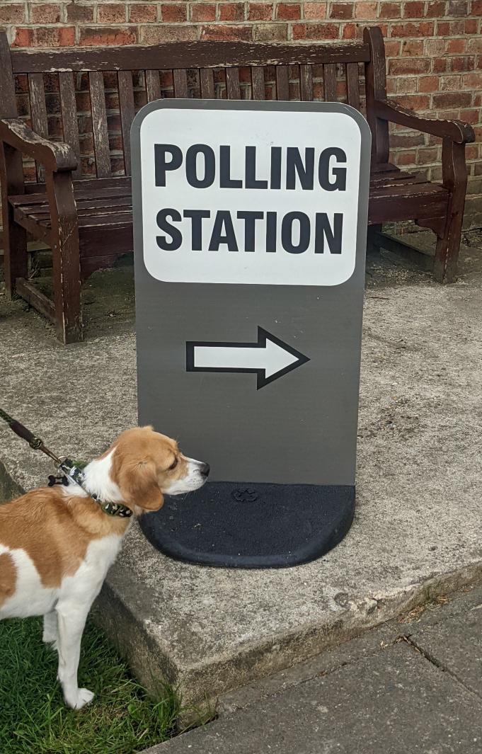 maskell_sharon's tweet photo. #dogsatpollingstations https://t.co/ICcKg8hHhT