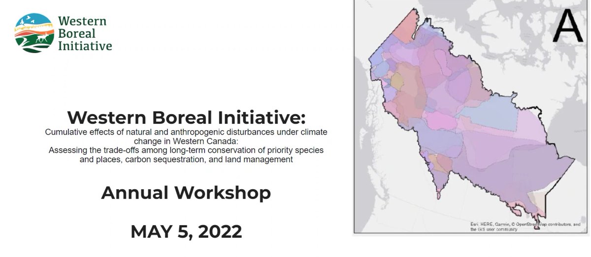 PredictiveEcol's tweet photo. (1/n)
Happening Right now: The Western Boreal Initiative annual workshop (hosted by yours truly!).

This annual workshop gives updates on our project progress. Today there are a more than 40 participants involved from across Canada. https://t.co/XfzWWytmdS
