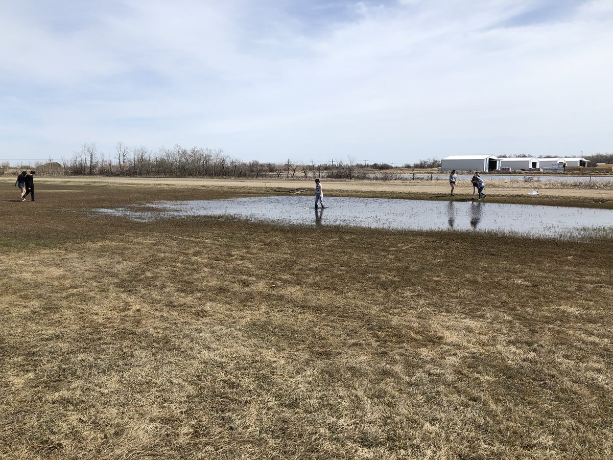 mc_school1's tweet photo. What do grade 7/8 science students do on a beautiful day? Head outside to design boats out of tinfoil! We will see who has the best design after lunch. Stay tuned! #buoyancyboatdesign https://t.co/qr5y1Bsup8