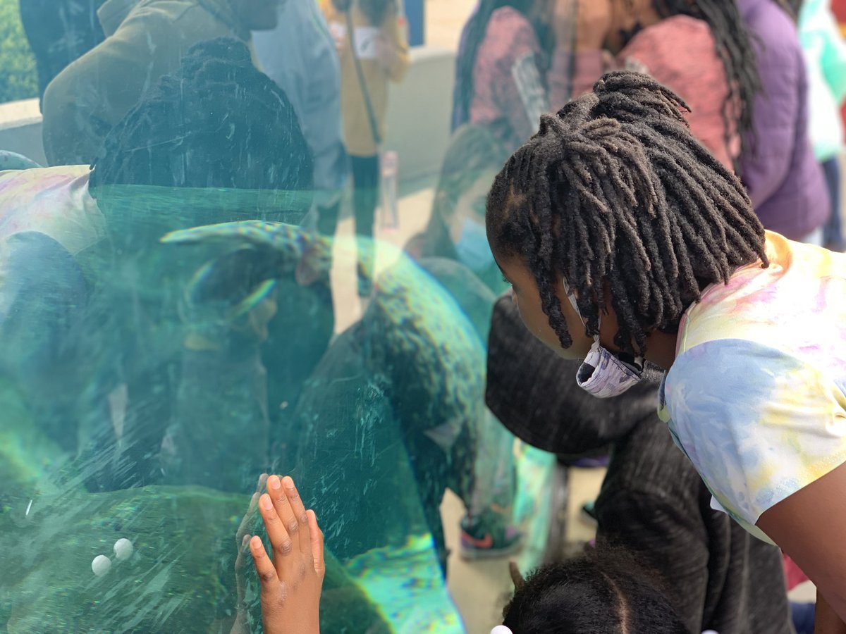 LuxSCounselor's tweet photo. Great day exploring and learning at the aquarium … @LuxfordES @nprj2010 @LangstonLMS @KravchakTeach https://t.co/fcft20GyLX