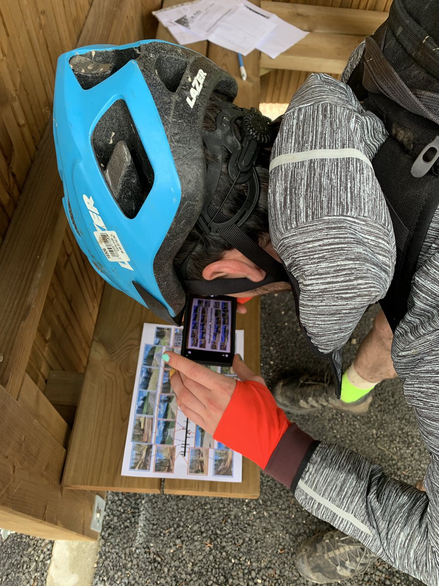 Polypolyrobrob tweet media