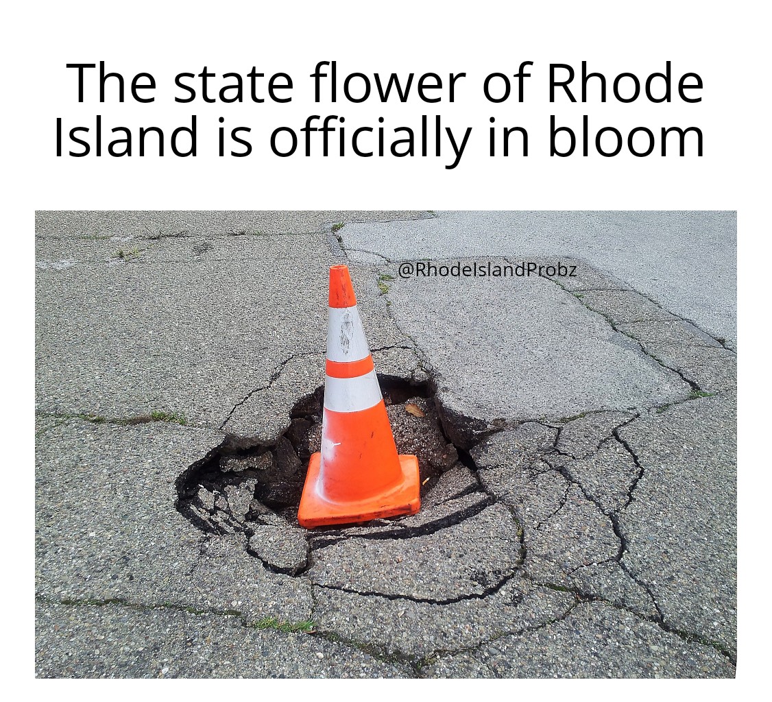RIprobz's tweet photo. It's magnificent 🥲 #RIprobz https://t.co/jpK4IqZ3dl