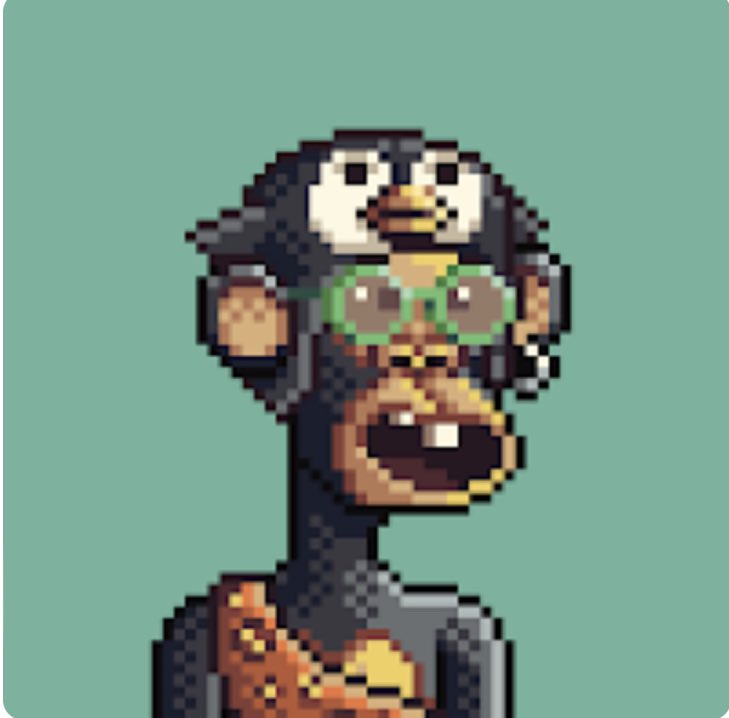 OnTheMoon365's tweet photo. AYO #APES #APEREUNION #ApeReunion #apereunion FLEX YO APESSSSSSSSS ⬇️ ⬇️⬇️⬇️⬇️⬇️⬇️ https://t.co/p8tcJXGznL