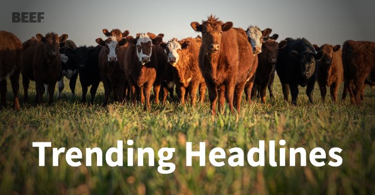 HCFeeders's tweet photo. We're catching up on industry news with these 5 stories in the beef community. There's a lot going on this spring. https://t.co/rF4uHyGWfN https://t.co/COXVwsyx0e