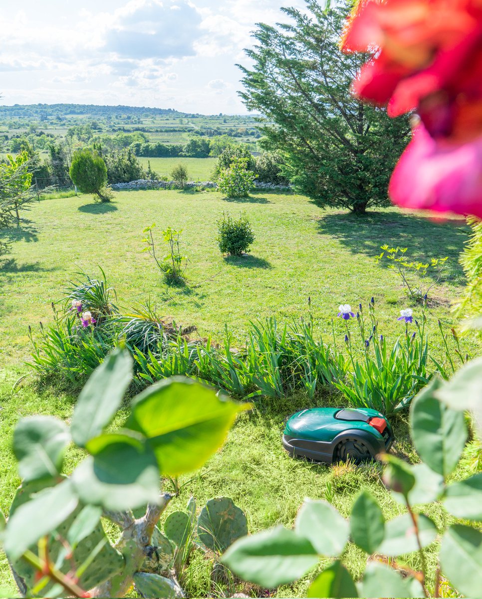 Judith de Graaff tweet media