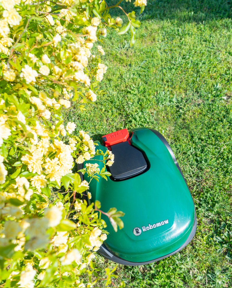 Judith de Graaff tweet media