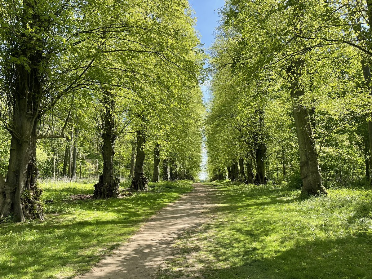 Rach_Archaeo's tweet photo. Brilliant morning exploring the partnership working between @WoodlandTrust and @BeltonHouseNT. Connecting Grantham’s Historic Landscapes. https://t.co/DUu5QbP5lC