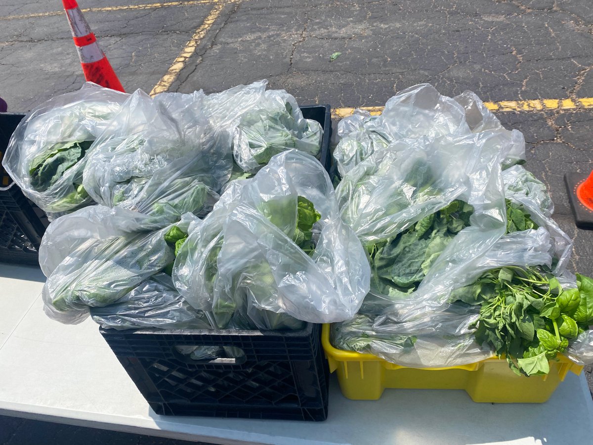 Thank you to the students at <a href="/BRGrizzlies/">Bruce Randolph</a> for their donation of basil grown from their own hydroponic gardens with help from <a href="/tffjinitiative/">TeensforFoodJustice</a>! We're so in awe of this program!