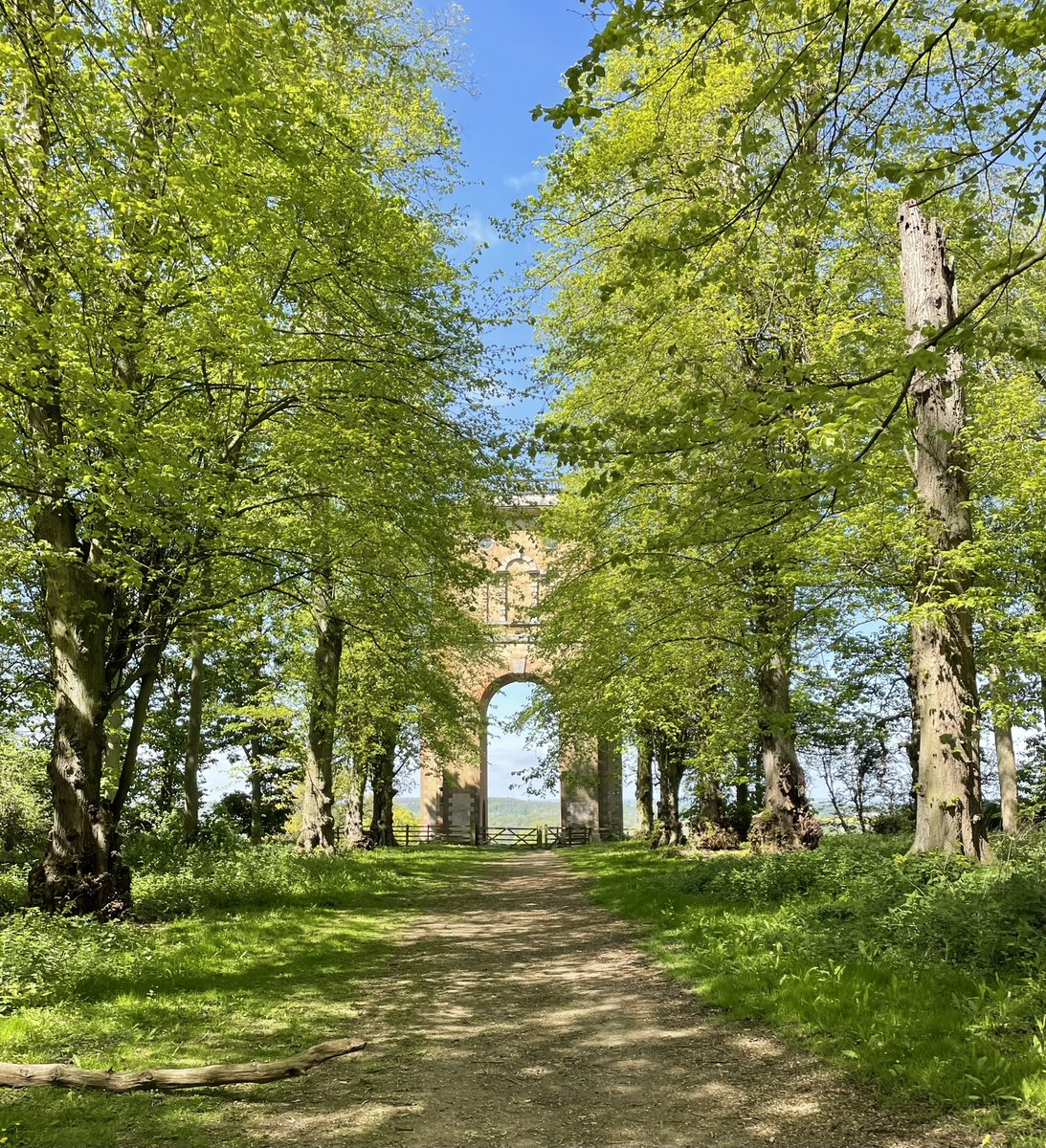 Rach_Archaeo's tweet photo. Brilliant morning exploring the partnership working between @WoodlandTrust and @BeltonHouseNT. Connecting Grantham’s Historic Landscapes. https://t.co/DUu5QbP5lC