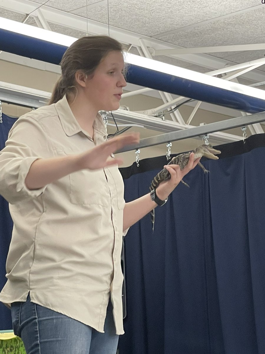 Rebecca Campbell, NBCT tweet media