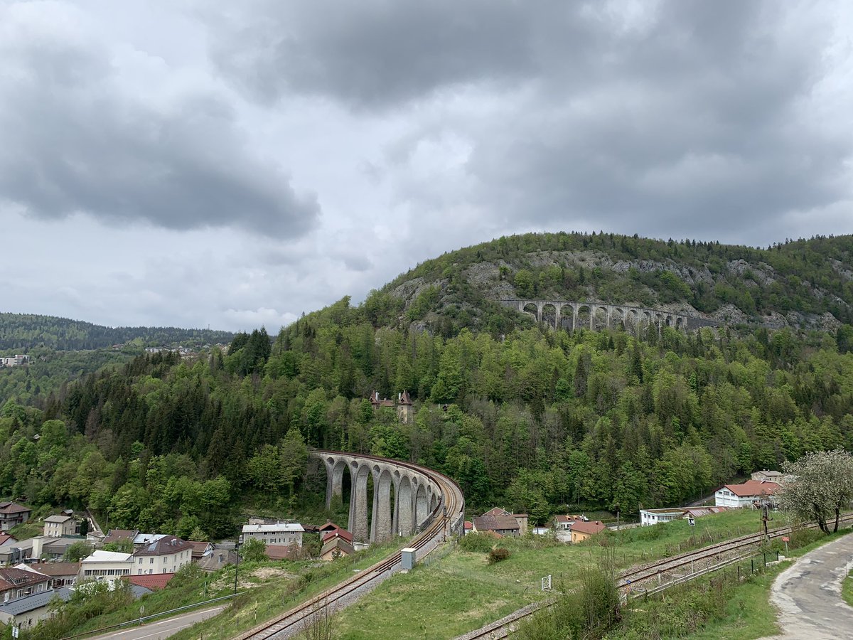 Polypolyrobrob tweet media