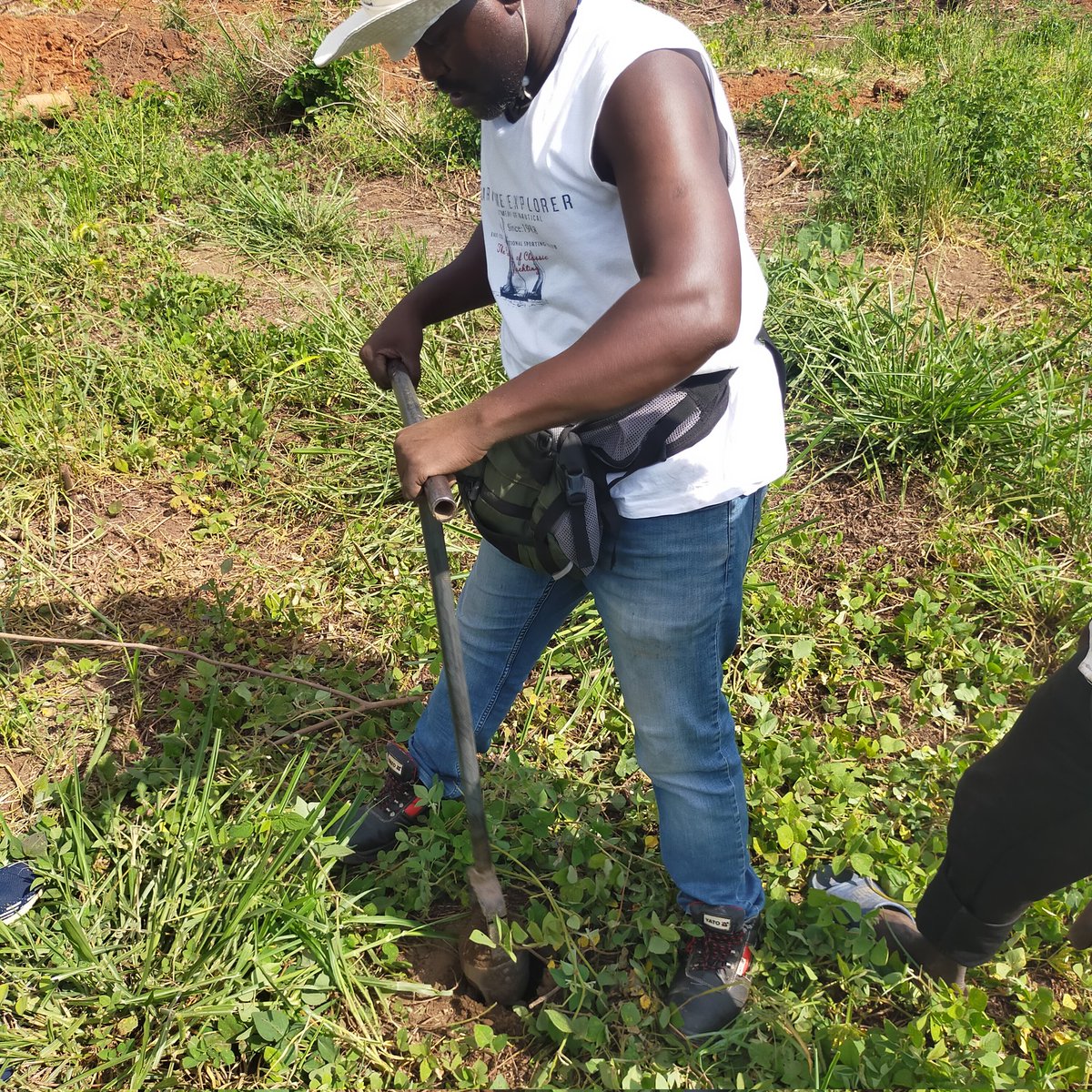 Francis Ogwang (@ogwang_f) on Twitter photo 