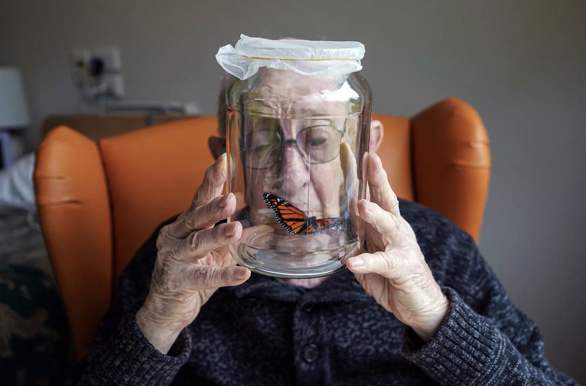 A portrait of my 89-year-old father.

(Photograph: Carole Mills Noronha)