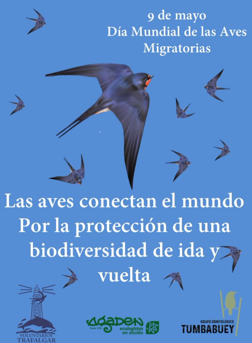 Maite44448848's tweet photo. Celebramos hoy el día internacional de las aves. Protege el Medio Ambiente entre todos podemos lograrlo.@MTSS_CUBA @citmacuba  #Ciencia @JanetIsabel12 @Emy2289 @MGY2021 https://t.co/GbzKF2BVR6