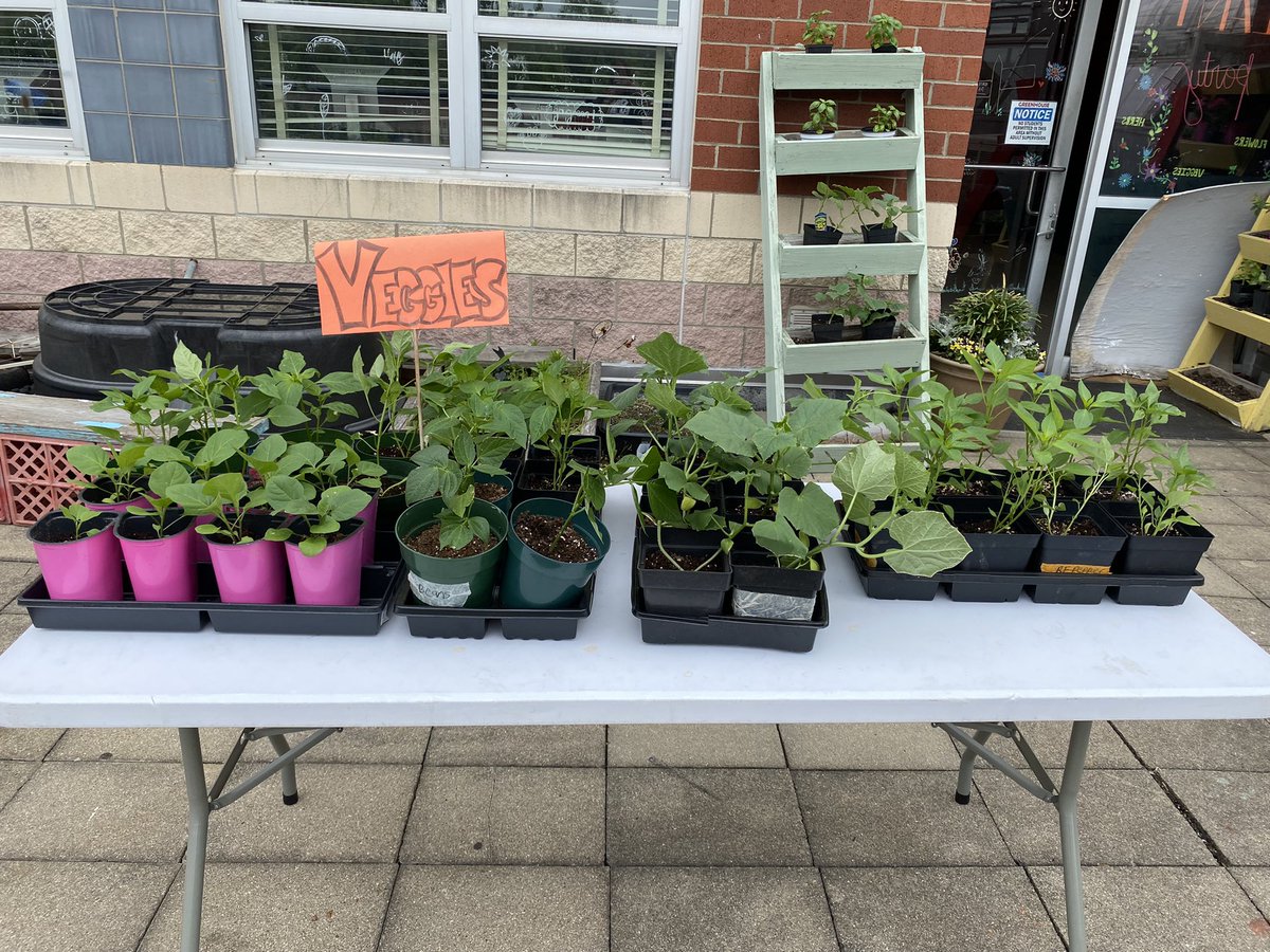 _Ms_Mason's tweet photo. MBHS Plant sale is back and was off to a great start at lunch today! Thanks students and staff for your support. More items available after school and lunch tomorrow! https://t.co/K7ZTYJ40ot