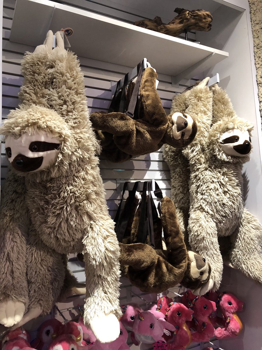 SciaticNerd's tweet image. For fans of #teamsloth