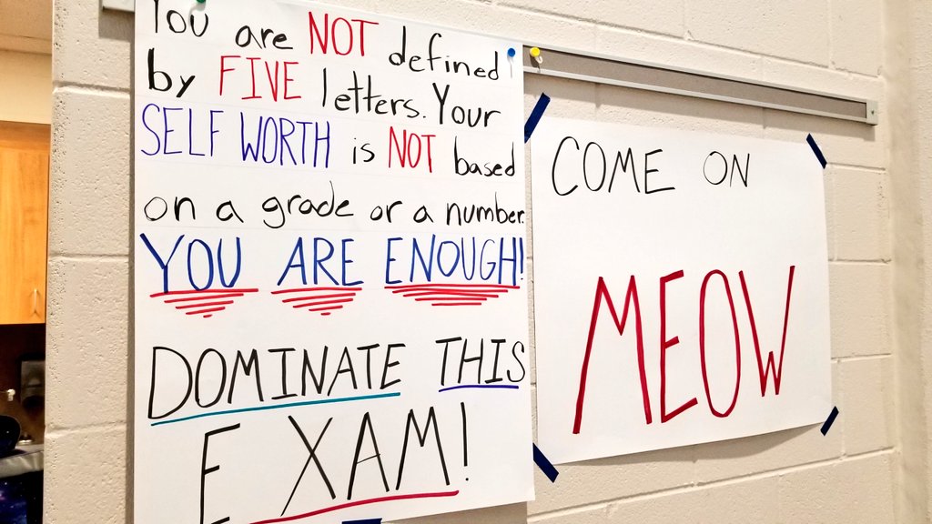 coachguz63's tweet photo. Proud of my students! Love my job! Congrats on taking the AP exam this morning! Proud to be yalls teacher! #allinforGlenn #good2great #cultureoverstrategy #strivefor5 https://t.co/qw4I3Np2FW