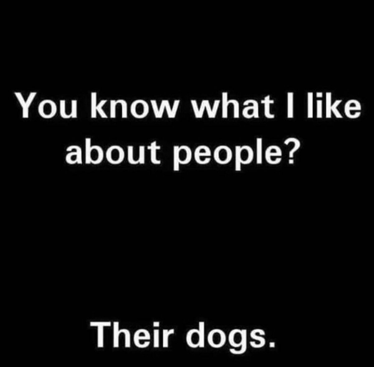 #dogs #DogsofTwittter #saynotopeople #boo #boopeople 😆🤣👍 #woof