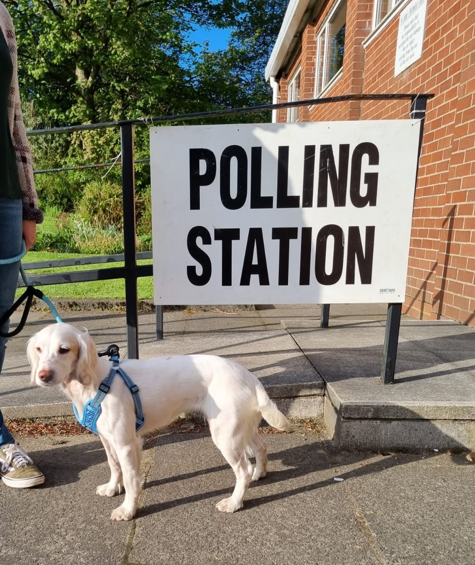 emma_smith91's tweet photo. Took our pooch to vote today! 🗳️ #dogsatpollingstations https://t.co/Z62XUWOUh9