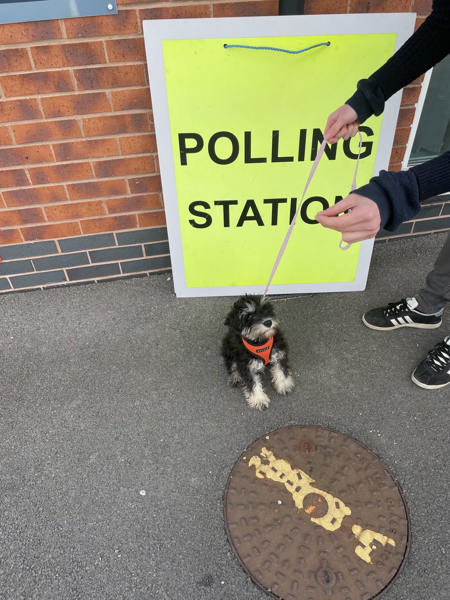 RGS_SMITH's tweet photo. #dogsatpollingstations https://t.co/7Lepxd55cm