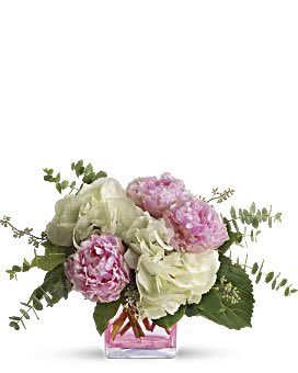 Brandice Spencer tweet media