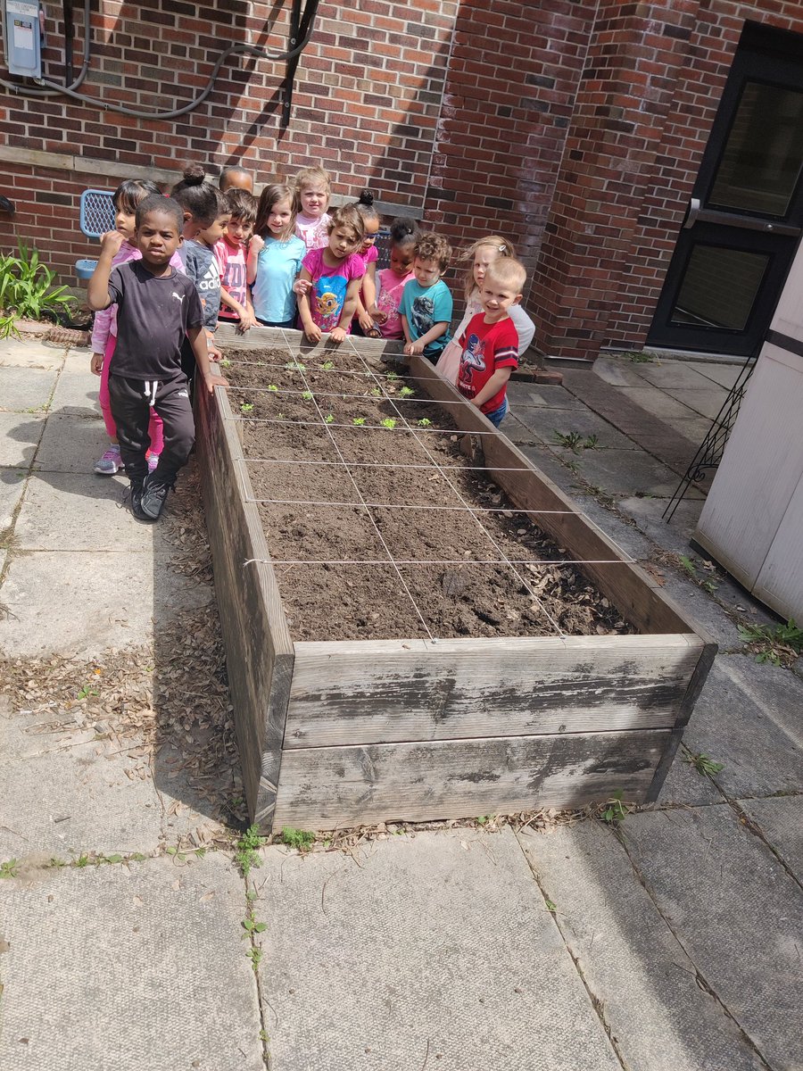 <a href="/BinghamtonCSD/">Binghamton CSD</a> <a href="/ccecornell/">Cornell Cooperative Extension</a> #weareBenFranklin #Bpatriotproud Some of our littlest patriots learned about growing seeds and planted our first round of lettuce and some peas using garden plans created by 5th graders. Produce will be available in the Traci CARES pantry this summer.
