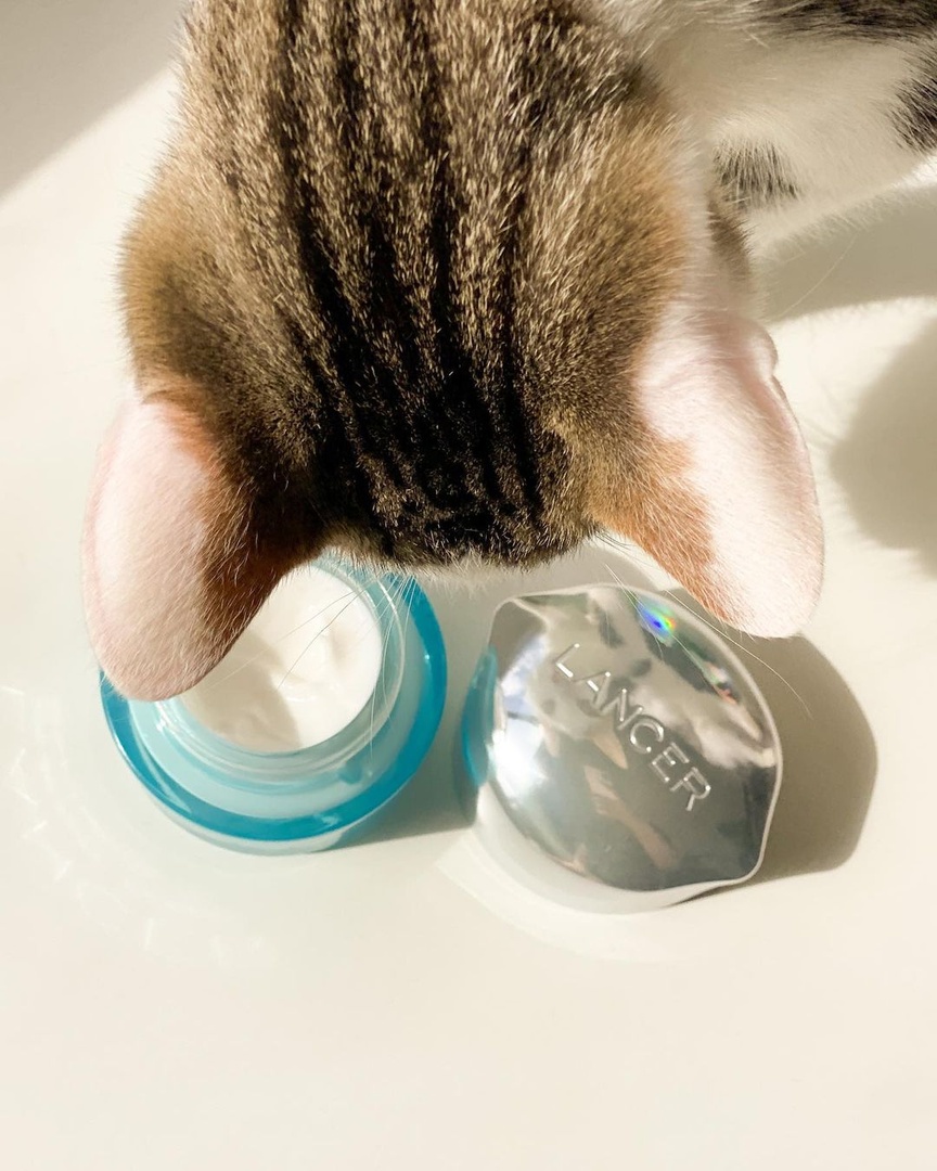 This just in—The Method: kitten-approved. 😻 😄 

#repost @aliwhittle_ 
• • • •
🐱🧴not for kitties, too good to share.