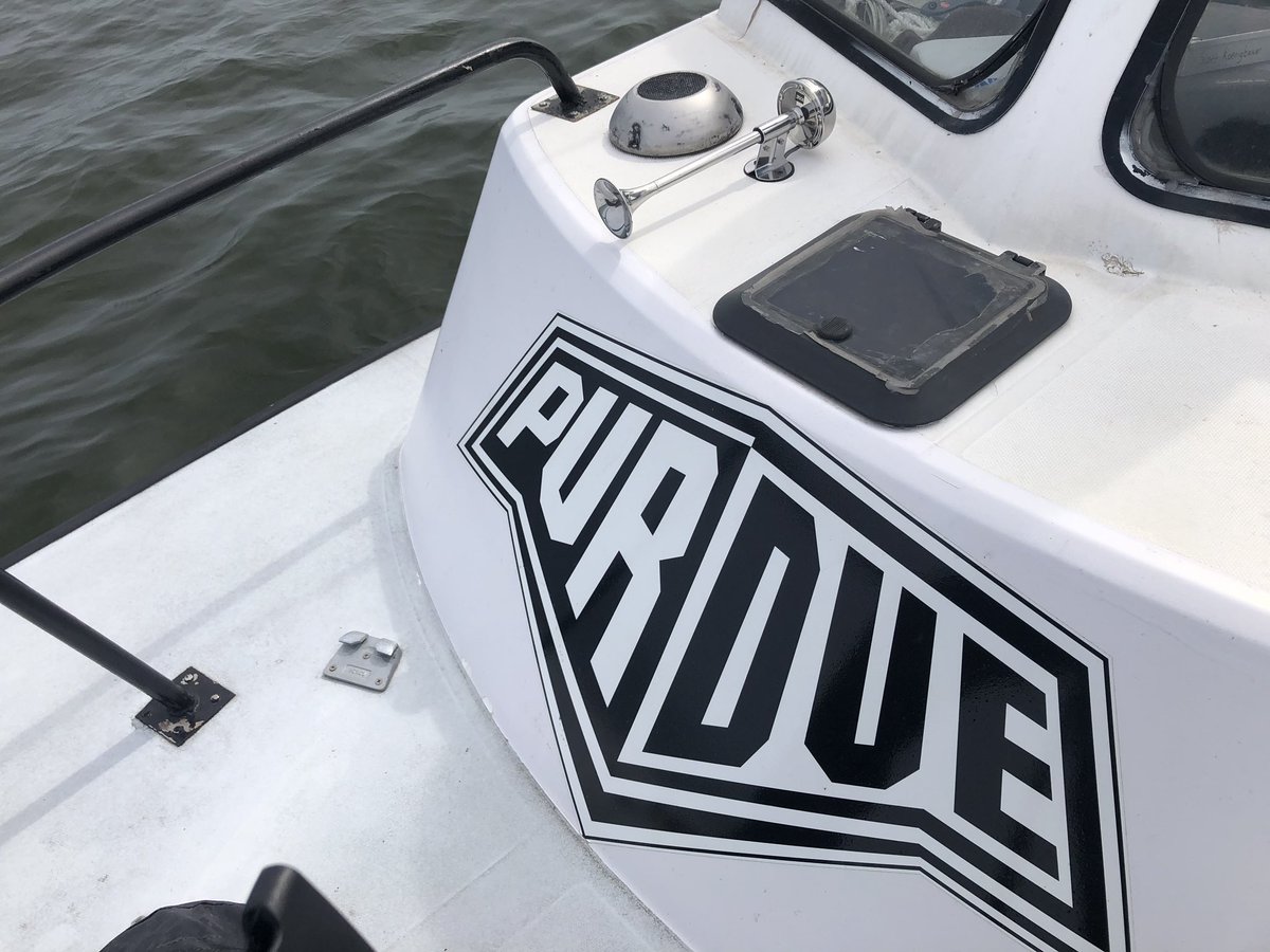 skoenigb's tweet photo. Successful week 5 of our walleye spawning survey on #Coreyon. @peuclide made it out for his first trip on the bay. Temps are up and the walleye seem to be about finished. https://t.co/K8c2VffHsq