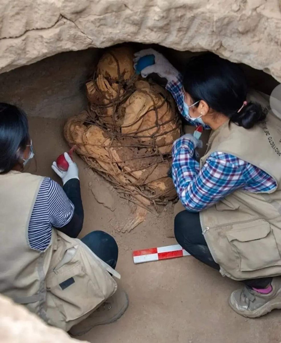 Skeletal remains, belonging to a person buried sometime between 800-1200 AD, found by an excavation team near Lima, Peru. Remains were found bound with rope, with person's hands covering face. Mummy was in 3m long burial chamber at depth of about 1.4m. #archaeohistories