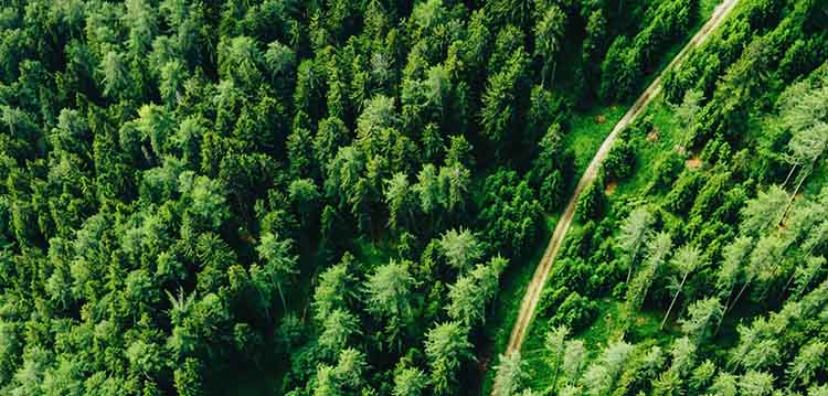 ANZ named best bank for sustainable finance

bit.ly/ANZ-ESG