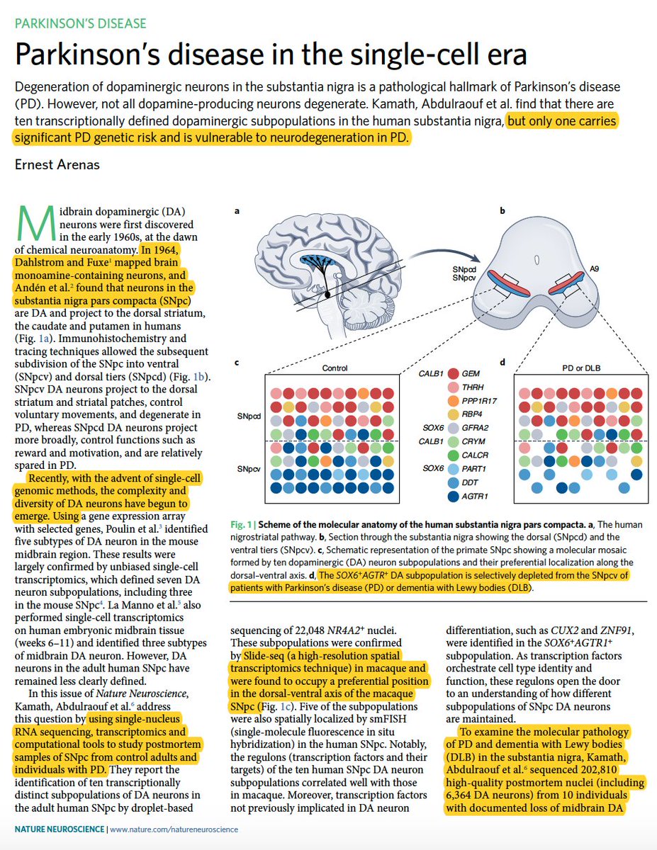 EricTopol's tweet image. A triumph for single cell nuclei sequencing: determination of a specific type of cell underpinning Parkinson&apos;s disease nature.com/articles/s4159…
nature.com/articles/s4159…
@NatureNano
