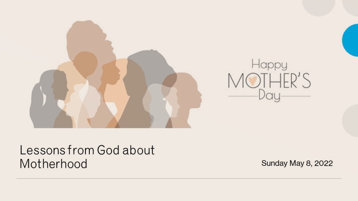 SWCPLo's tweet image. WEEKEND UPDATE - mailchi.mp/6e1d15681819/w…