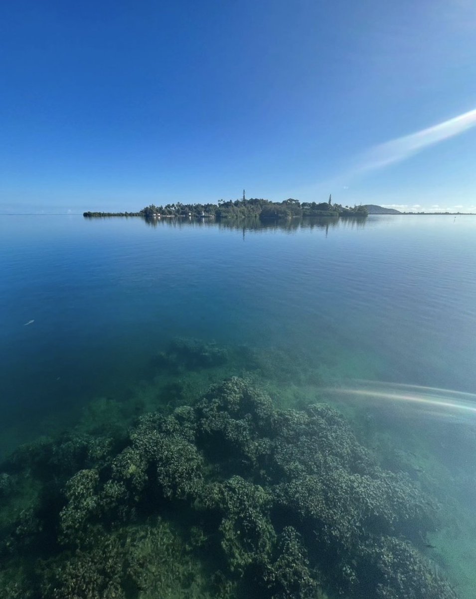 Hey there, <a href="/himb_soest/">Hawai‘i Institute of Marine Biology</a> is recruiting two 3-5-year postdocs  focused on quantifying and fabricating 3D habitats on coral reefs in the J. Madin Lab. Lots of freedom to develop your own research questions w/in this topic. Apply by May 16. jmadinlab.github.io/news/2022/04/1…