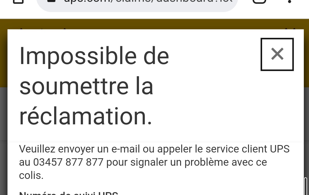 DameSheed tweet media