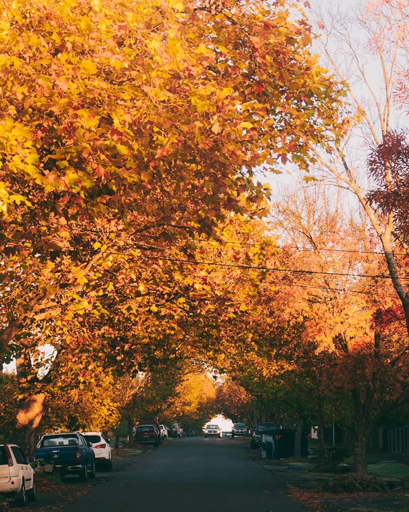 Mitchell Harris Wines tweet media